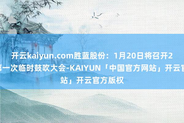 开云kaiyun.com胜蓝股份：1月20日将召开2025年