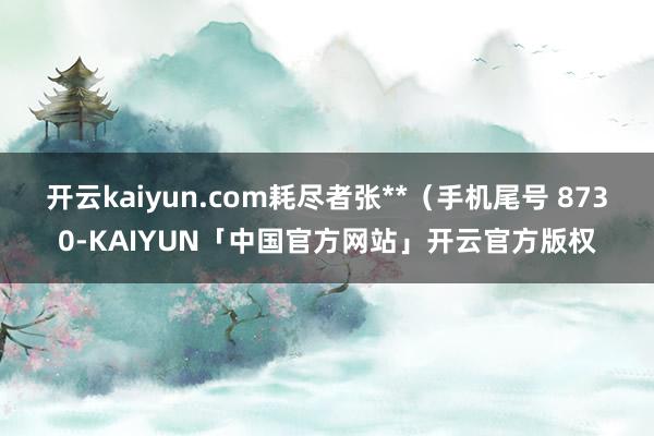 开云kaiyun.com耗尽者张**（手机尾号 8730-K