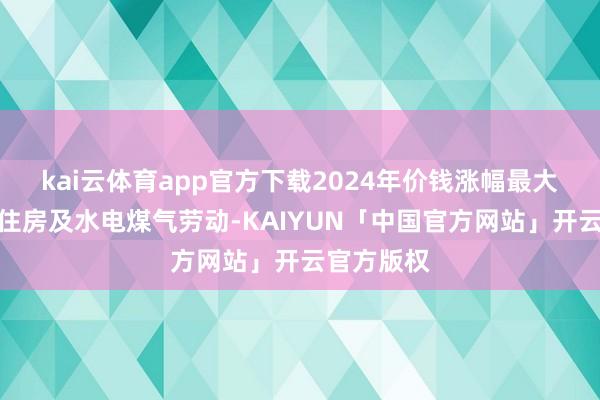 kai云体育app官方下载2024年价钱涨幅最大的范畴是住房