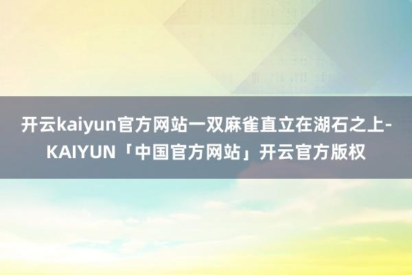开云kaiyun官方网站一双麻雀直立在湖石之上-KAIYUN