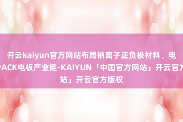开云kaiyun官方网站布局钠离子正负极材料、电芯、PACK
