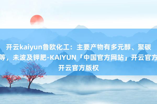 开云kaiyun鲁欧化工：主要产物有多元醇、聚碳酸酯等，未波