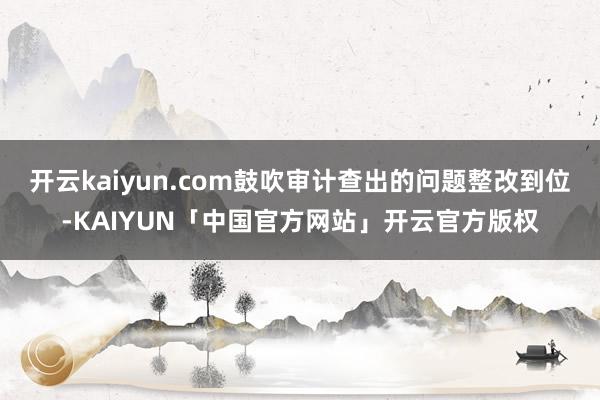 开云kaiyun.com鼓吹审计查出的问题整改到位-KAIYUN「中国官方网站」开云官方版权