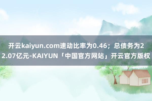 开云kaiyun.com速动比率为0.46；总债务为22.0